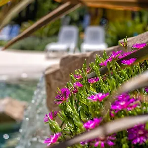 Apartmanhotel Bosco Canoro